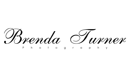 Brenturner logo